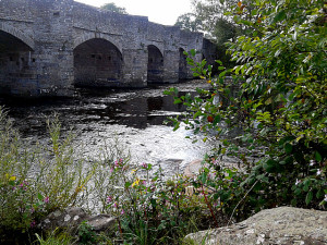 טיול עםילדים באנגליה, טיול משפחתי בוויילס,וואטסו באביאל, הילה וואטוסו, קריקהוול, וויילס,wales