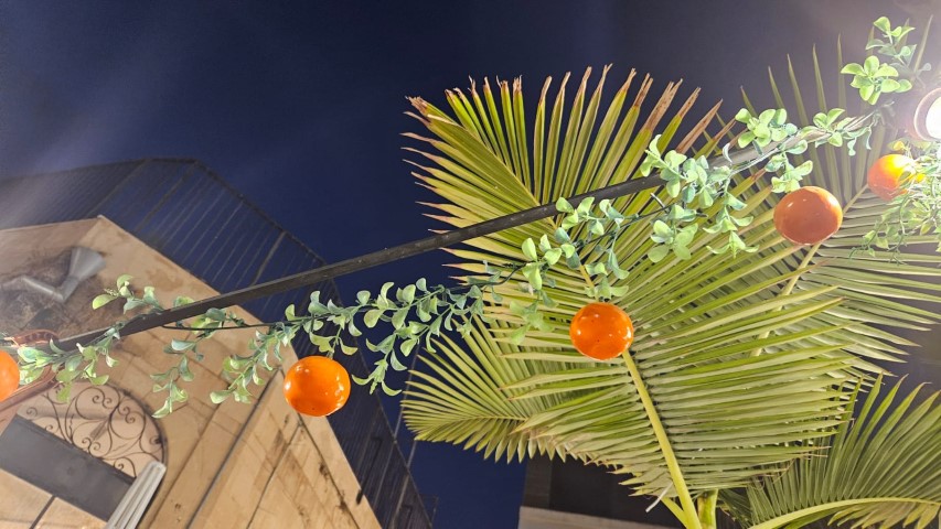 אטרקציות במרכז: בילוי משפחתי