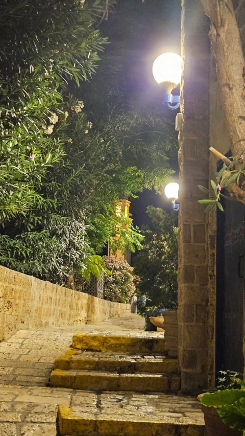 אטרקציות במרכז: בילוי משפחתי