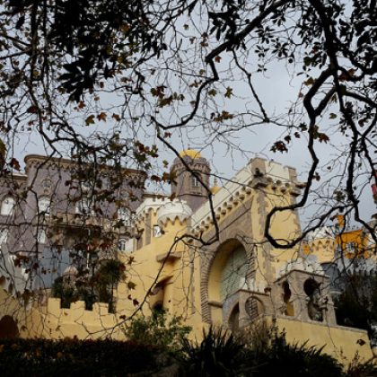 אפור – לבן בצבע