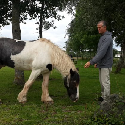 ארבעה שבועות של שכרון חושים