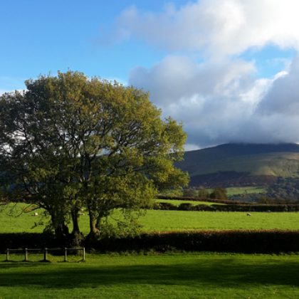 רוצה לאהוב כמו בסרטים
